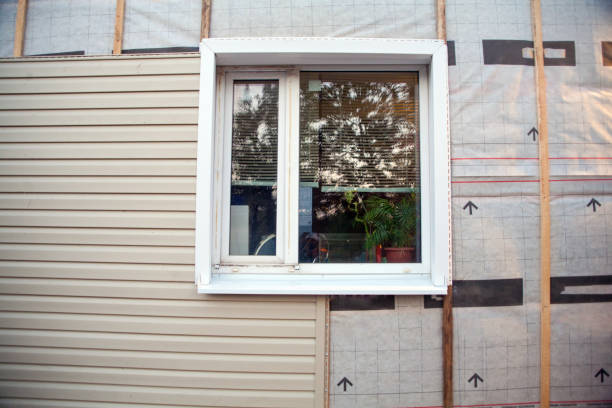 Best Insulated Siding Installation  in Dodge Center, MN