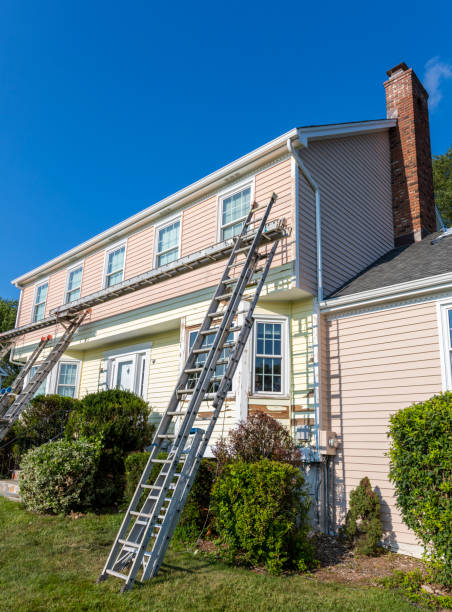 Best Custom Trim and Detailing for Siding  in Dodge Center, MN